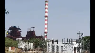 Molasses shortage halts alcohol production at Mohanur Cooperative: The wider industry impact