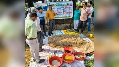 Fodder conservation, hydroponics in focus as Nashik division battles: The wider industry impact