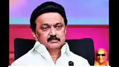 Chennai: In what could be a victory-victory situation, minor allies are seeking to contest