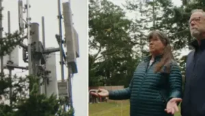 In 2017, a Washington couple bought property with an old wooden tower; after it was replaced