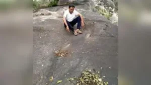 Grooves found in Chilkur forest hold clues to prehistoric life