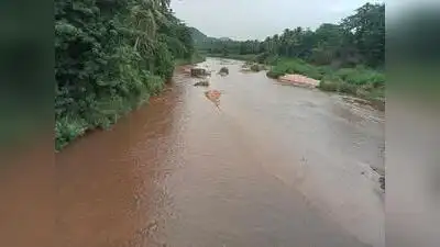 Heavy rain lashes western and southern Tamil Nadu, Cauvery delta: The wider industry impact