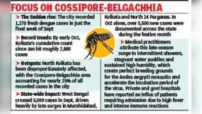 Kolkata: A late-season spurt in dengue cases has taken Kolkata: The wider industry impact