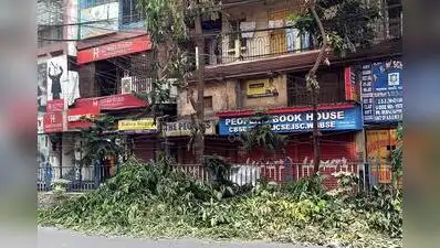 Bonani Kakkar of PUBLIC said indiscriminate cutting of roadside trees for commercial visibility