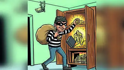 Silverware, antiques worth ₹5.2L stolen from lawyer's house