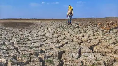Experts from the fields of agriculture, water conservation, education and administration