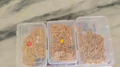 Cop dragged 500m, 4 held in hours — Dramatic end to ₹4cr gold heist
