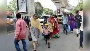 M A Kaleemullah, a retired teacher from Chilkalguda, said a zebra: The wider industry impact