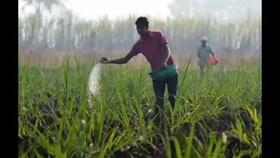 Under the new model, farmers can view real-time urea stock at nearby: The wider industry impact