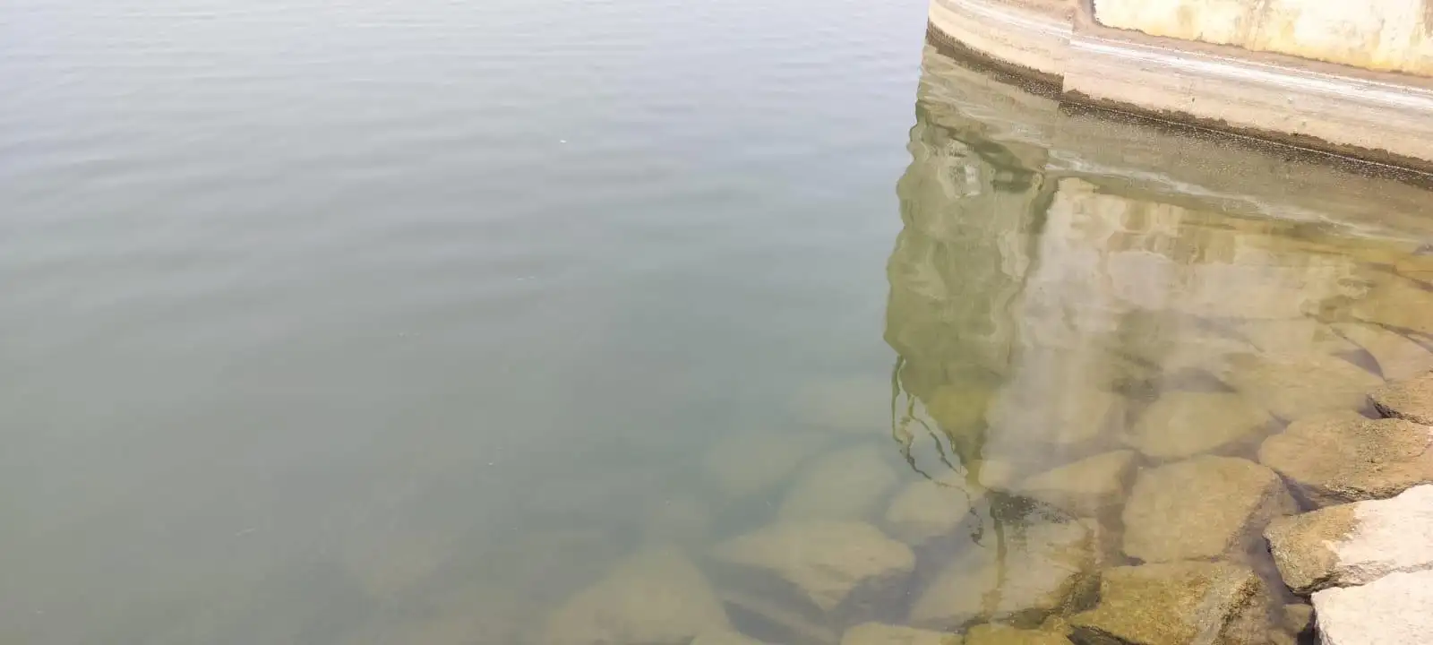 Following the mysterious discoloration of the Jurala backwaters, officials of the rural water