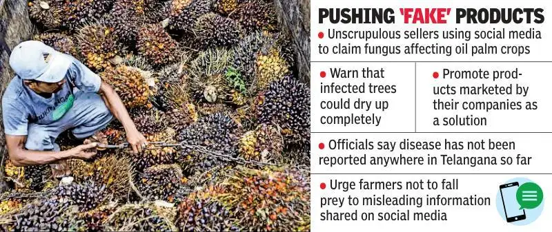 MV Madhusudan, district horticulture and sericulture officer, told: The wider industry impact