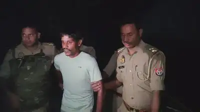 Two brothers, allegedly involved in catching stray cattle and slaughtering them, were arrested