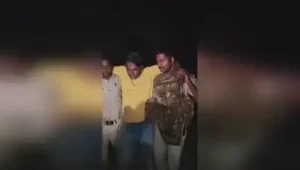 Two brothers, allegedly involved in catching stray cattle and slaughtering them, were arrested
