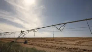 Idaho family has farmed 1,000 acres since 1950; after the state largely shut off its irrigation