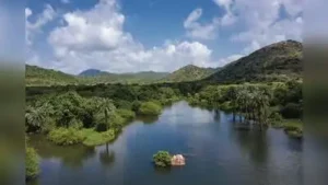 For families owning livestock, a separate plot of up to 100 square yards for cattle will also
