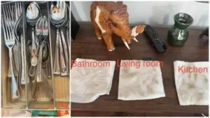 Michigan woman Kimberly Kemper seeks a $250 refund after claiming a $350 deep clean left