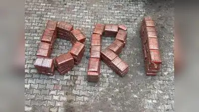 DRI seizes 591 kg of ganja worth ₹3 crore in Gorakhpur: The wider industry impact