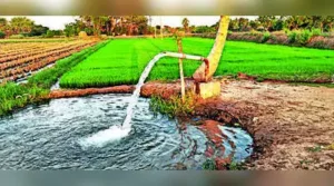 Borewell crisis hits T farms — Rs 40k on repairs, no water guarantee: The wider industry impact