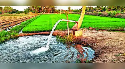 Borewell crisis hits T farms — Rs 40k on repairs, no water guarantee: The wider industry impact