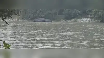 Wild elephants generally enter PTR during the post-monsoon season: The wider industry impact