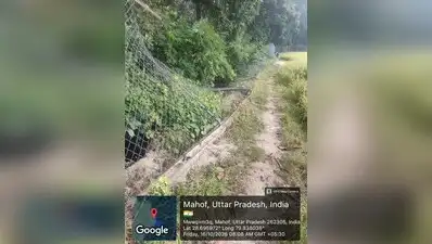 Wild elephants generally enter PTR during the post-monsoon season: The wider industry impact