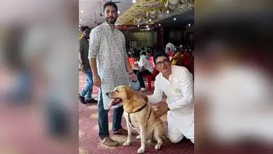 Pune: Curious puppies on leashes with wagging tails are joining celebratory crowds at some