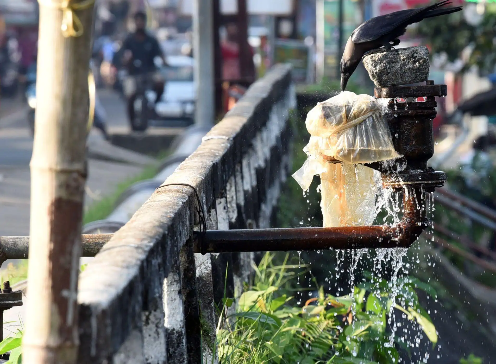 Therefore, the corporation has decided to identify the public water taps, geotag the functional