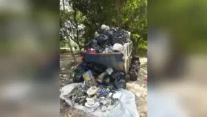 Because large portions of the area remain littered, the group said the Elliot Park drive would
