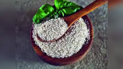 Trading in isabgol (psyllium husk) at Unjha APMC, Asia’s largest: The wider industry impact