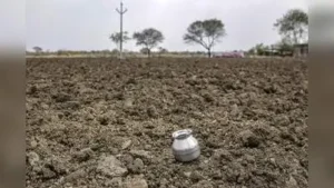 Why a 20% crop loss can wipe out 2/3rd of farm income: the facts: The wider industry impact