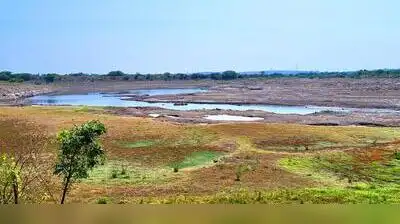 The lake, which usually sustains farmers until April or May, has: The wider industry impact