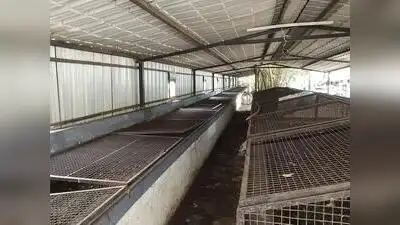Housing societies lead by example in Pune and Pimpri Chinchwad — Bulk waste generation, timely