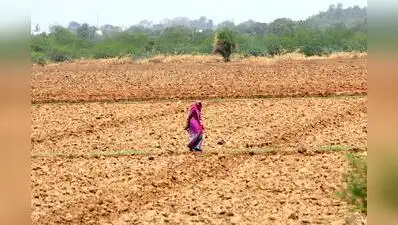 In a major relief to Gujarat’s farming community, the state govt on Tuesday approved Rs 174.1