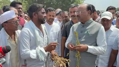 Nagpur: Revenue minister Chandrashekhar Bawankule on Saturday directed govt officials to remain