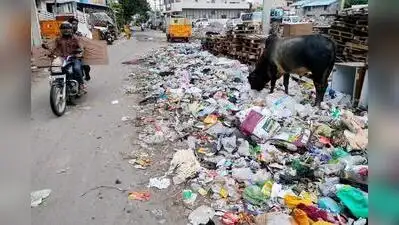Uncollected garbage near the Tamil Nadu Housing Board (TNHB) Colony: The wider industry impact