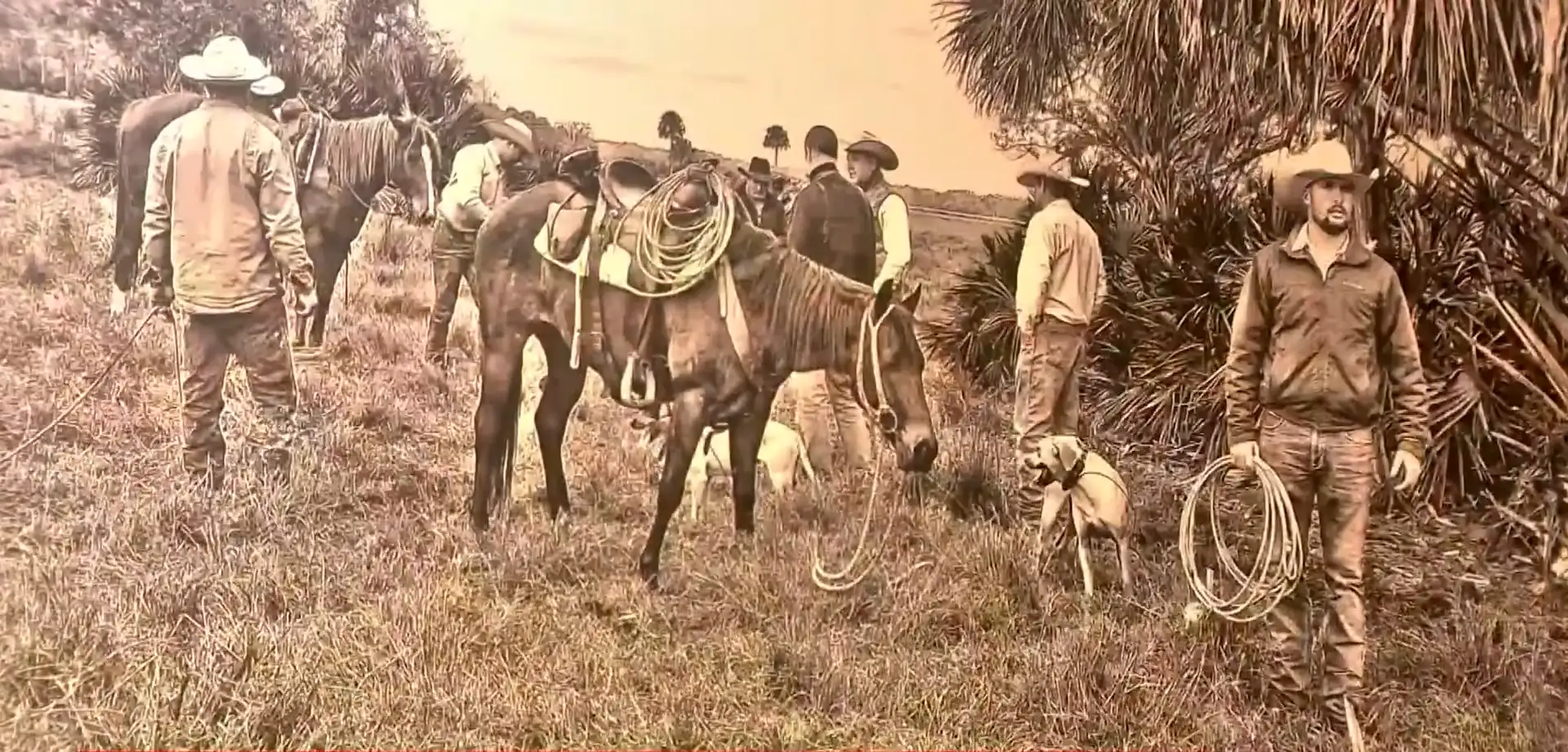 (Photo: WPEC) “The ranch was started in 1937 by my grandfather,” Mike Adams told CBS 12 News