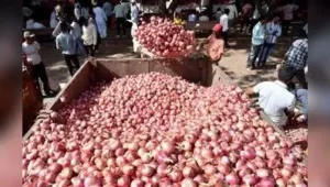 18% rise in average wholesale onion prices at Lasalgaon: The wider industry impact