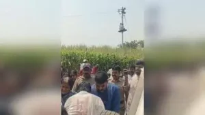 Some farmers poured petrol on themselves, while others climbed an electricity pole as officials