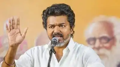 Vijay criticises Stalin over 'indecent' remarks against TVK candidate