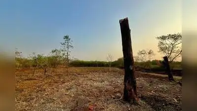 96/97 on Vetal Tekdi — both in payment vouchers issued by the forest: The wider industry impact