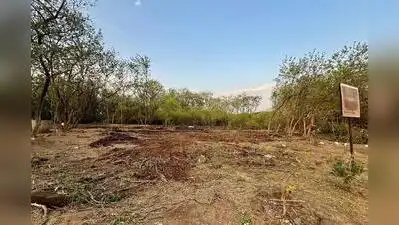 96/97 on Vetal Tekdi — both in payment vouchers issued by the forest: The wider industry impact