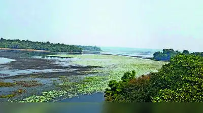 WARNINGS PILED UP, SEWAGE STILL FLOWS On June 23, the Nagpur bench of Bombay HC directed NMC