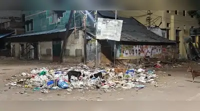Madurai: The garbage disappeared in an MLA’s social media post: The wider industry impact