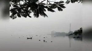 Kochi : Residents of Ambalamugal have come up with allegations that the air quality in the area