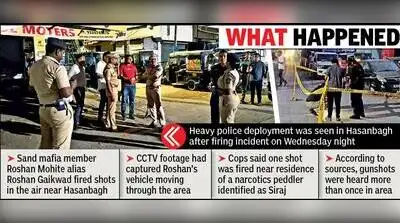Nagpur: Roshan Mohite alias Roshan Gaikwad, a sand mafia member with several cases to his name