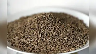 Cumin prices at Gujarat’s Unjha market have climbed to Rs 27,000 per: The wider industry impact