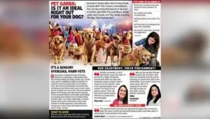 Ahmedabad celebrates Ashtami, revellers make the most of the weekend