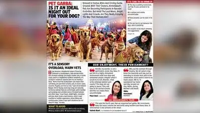 Ahmedabad celebrates Ashtami, revellers make the most of the weekend