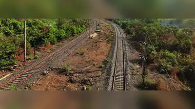 A young tigress was found dead on the Kinwat-Nanded railway line on Saturday morning, raising