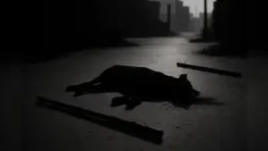Pune: Uttamnagar police are searching for four to five unidentified men who brutally beat